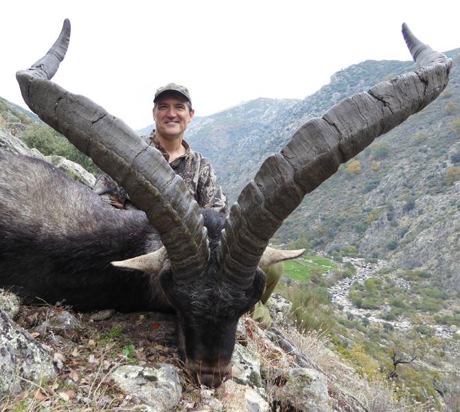 McNatt_ Gredos Ibex Gredos Ibex