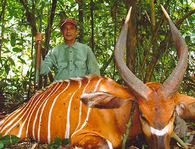 Hunting in Africa