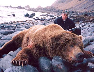 Brown bear hunting in Alaska