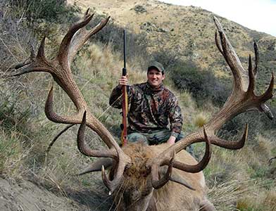 Red Stag hunting in New Zealand