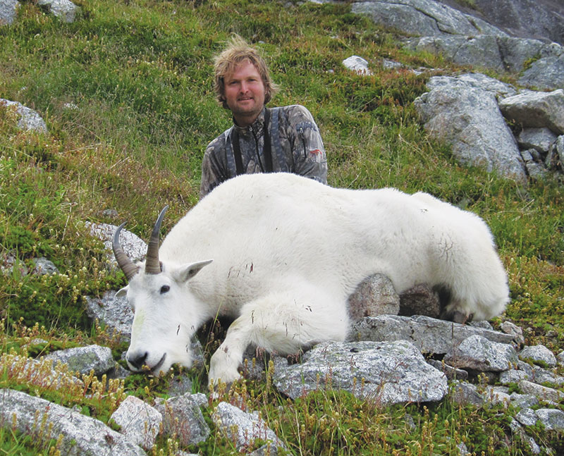 Mountain Goat hunting